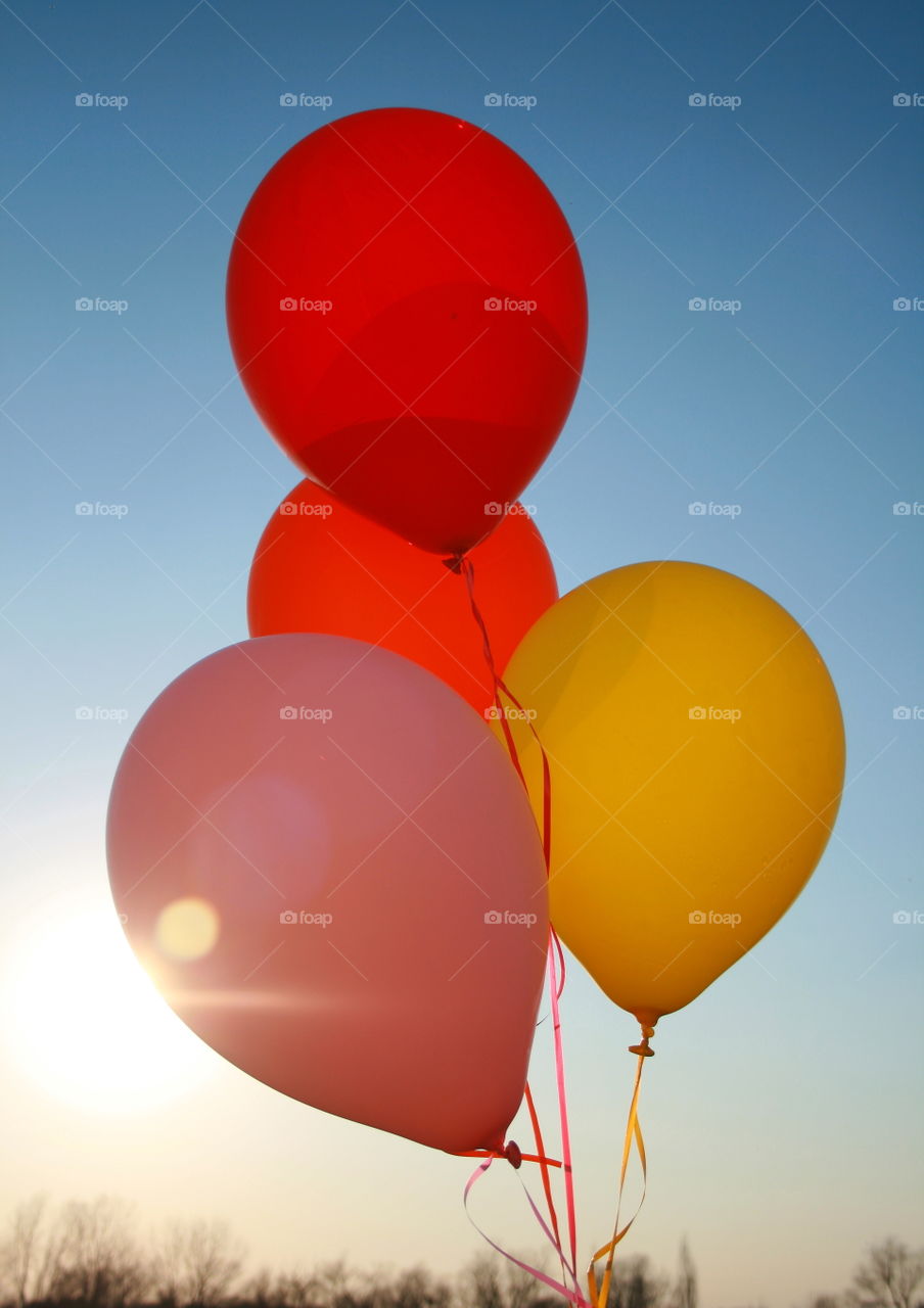Multi colored balloons outdoors