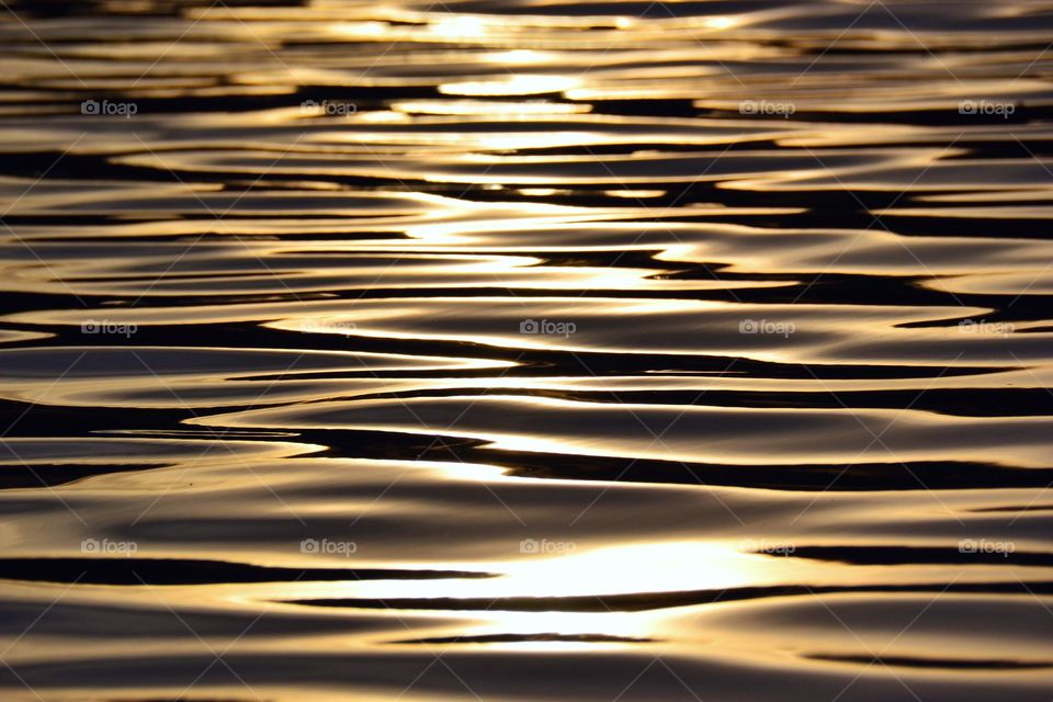 Shlachtensee's water at sunset