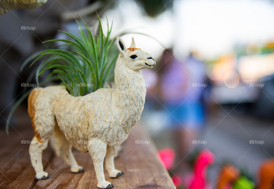 A closeup of a succulent potted inside of a small succulent inside of a toy lama.