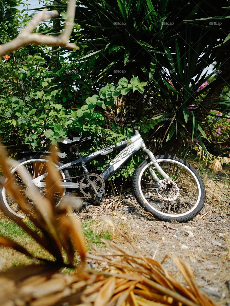 Abondoned bicycle put to rest in the backyard
