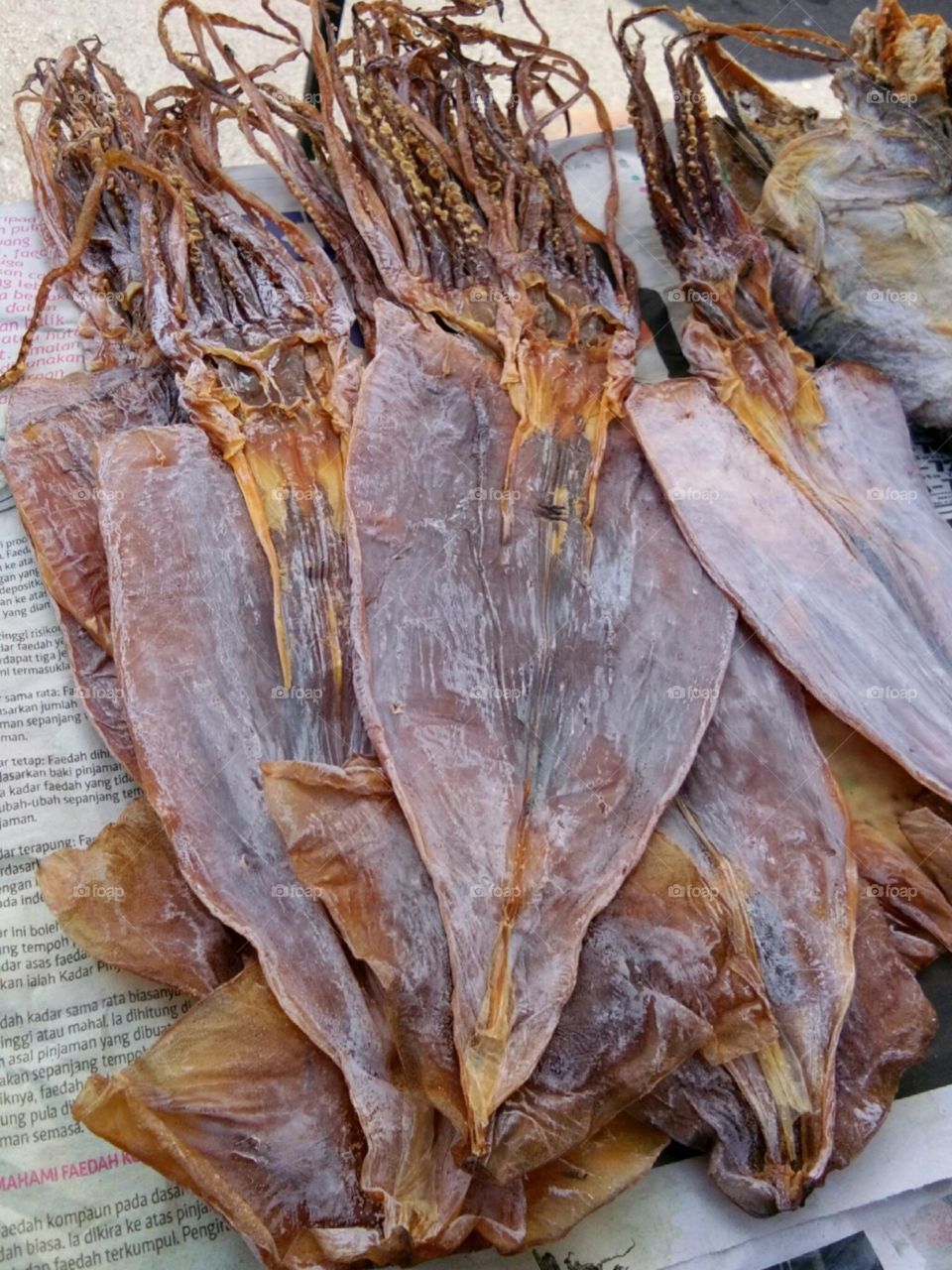 dried cuttlefish
