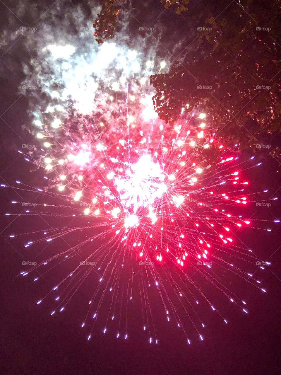 Fireworks show on a summer night