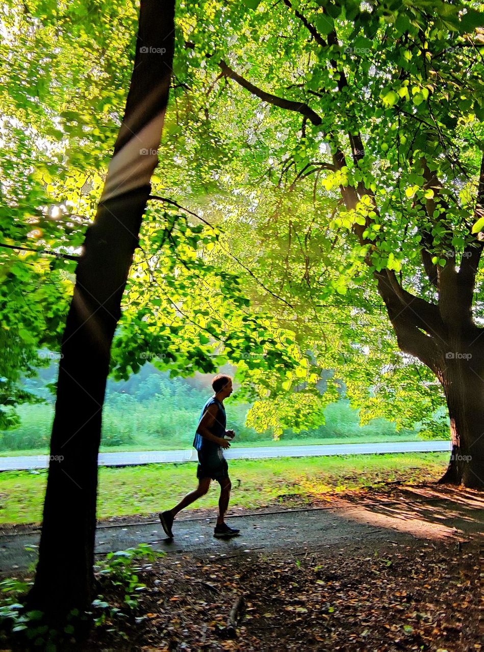 Morning.  Dawn.  A man in a T-shirt and shorts runs along the path of the park.  The orange rays of the rising sun seep through the green trees