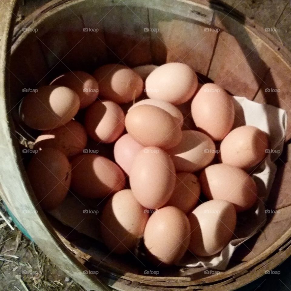 Fresh Brown Eggs