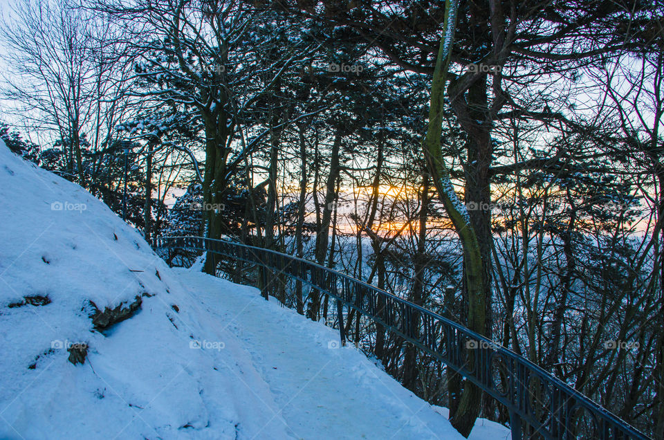 Nature landscape during sunset