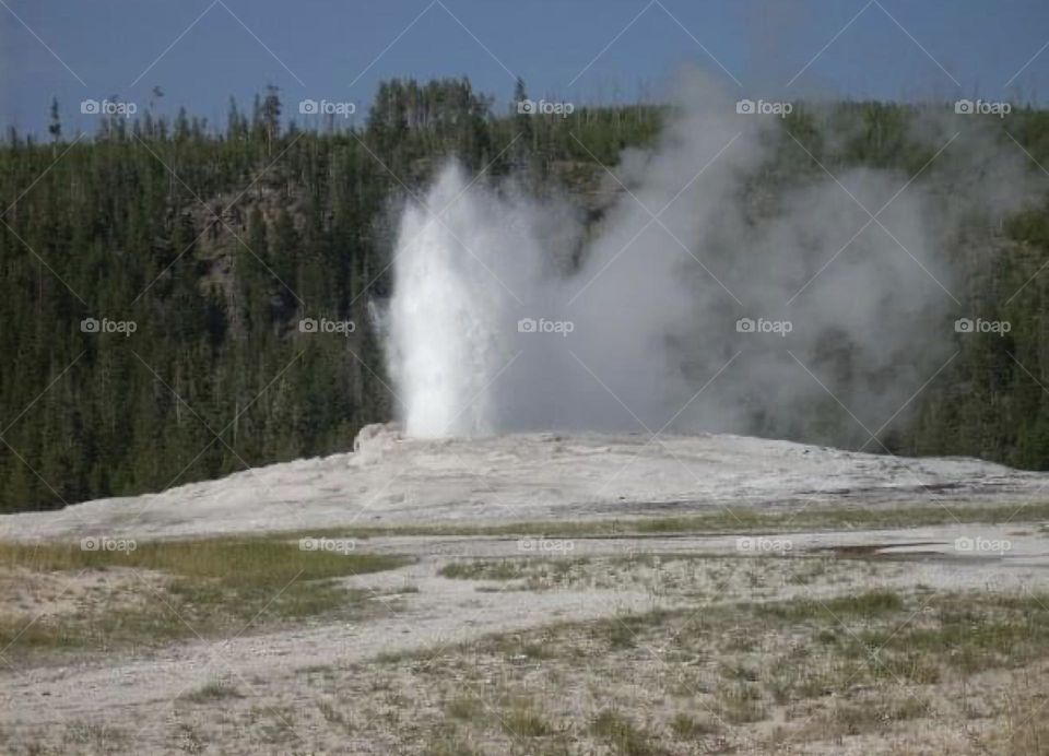 Old Faithful Geyser