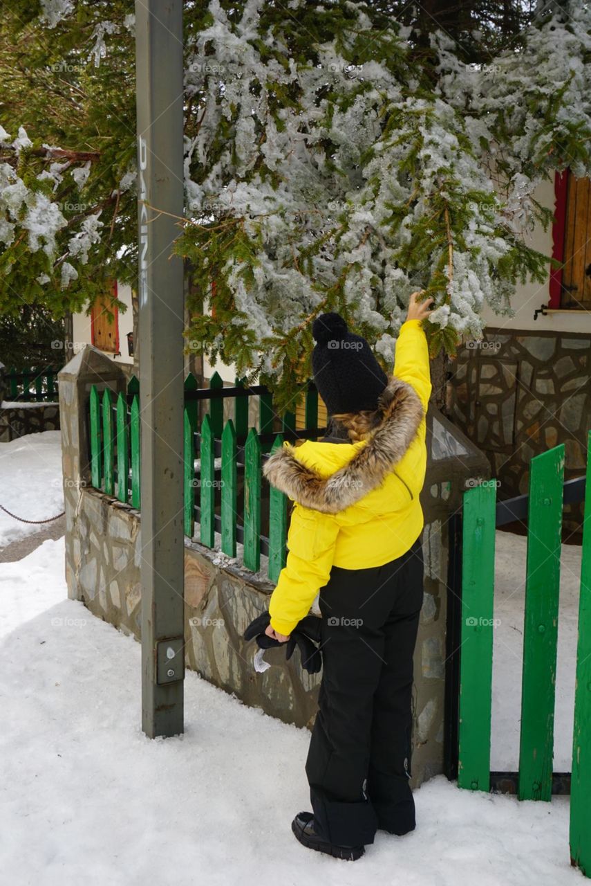 Yellow#black#snow#tree