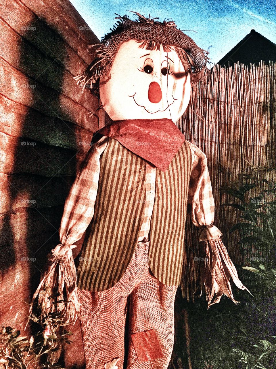 Scarecrow 