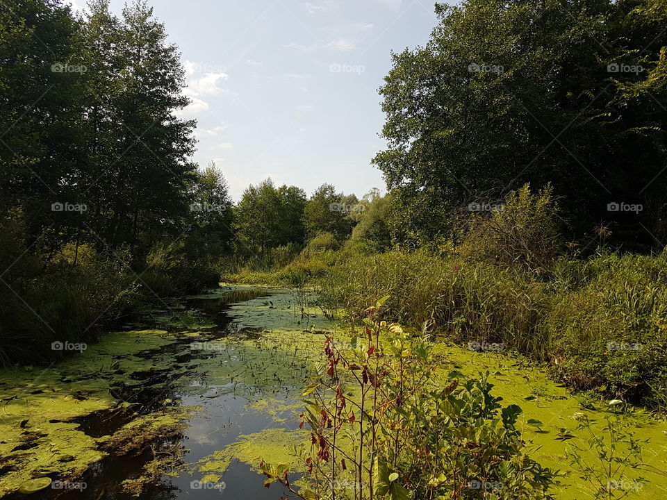 River view 