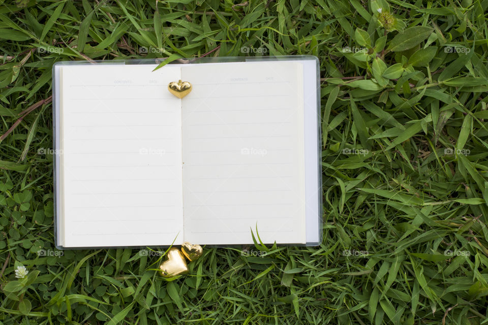 book love on the green grass