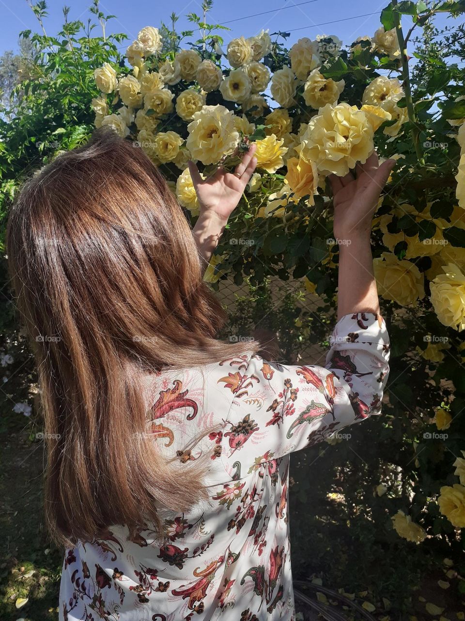 admirar las flores