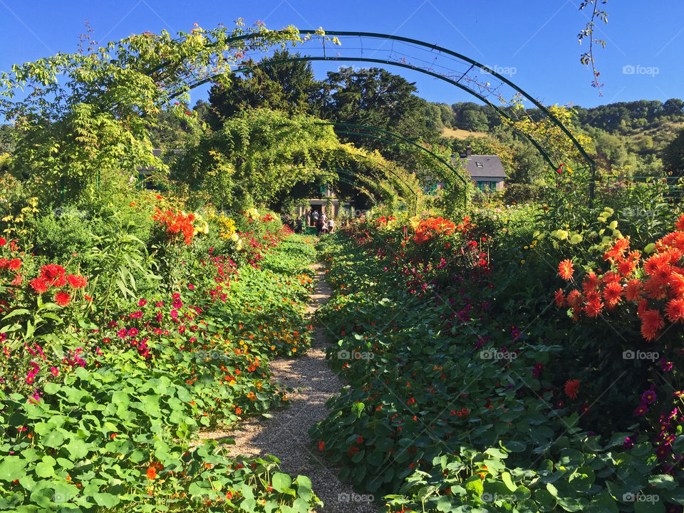 Monet's Gardens
Giverny, France