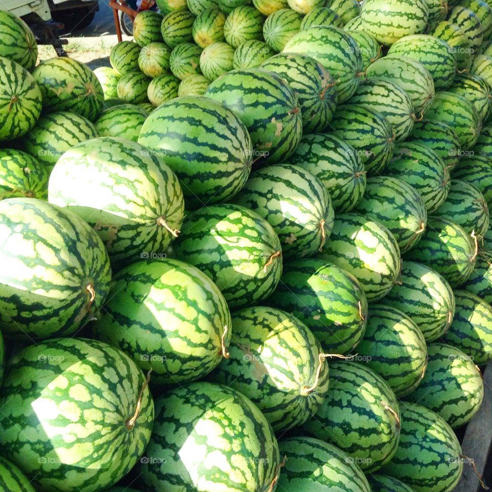 Watermelons