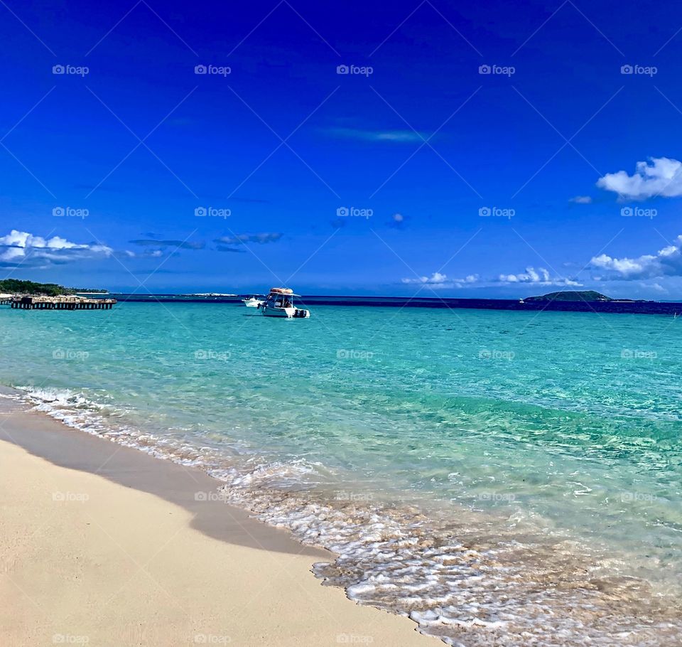 The most rare and special island life on the Puerto Rican island of fajardo. The hidden jewel of the Caribbean.