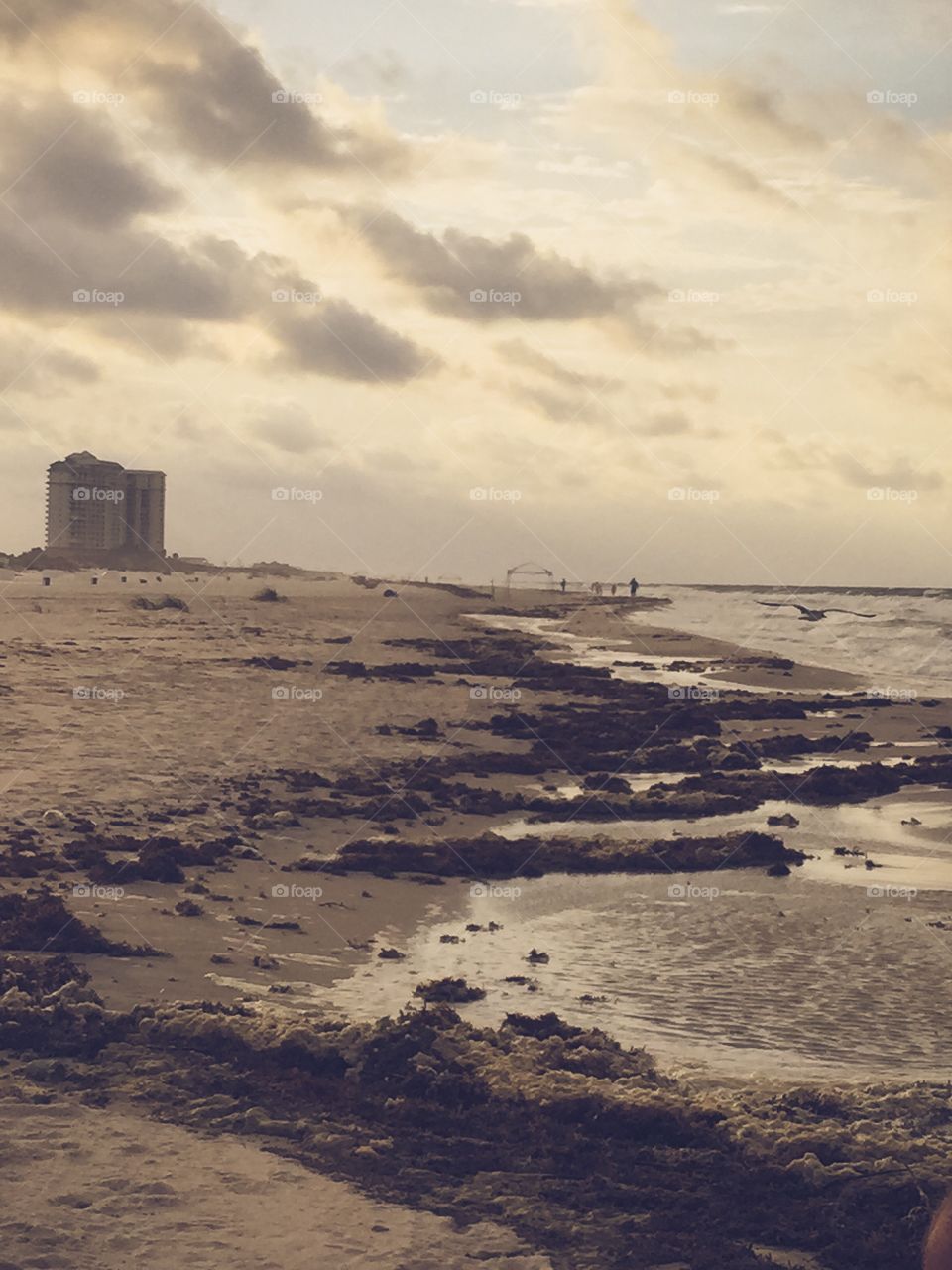 Stormy beach 