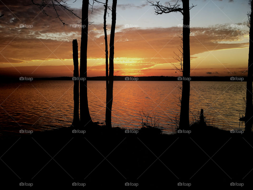 Colorful sunrise with illuminated clouds over Jordan Lake near Apex North Carolina with gold, yellow, and orange shimmering on the ripples. Raleigh and Triangle area. Tree silhouettes. 