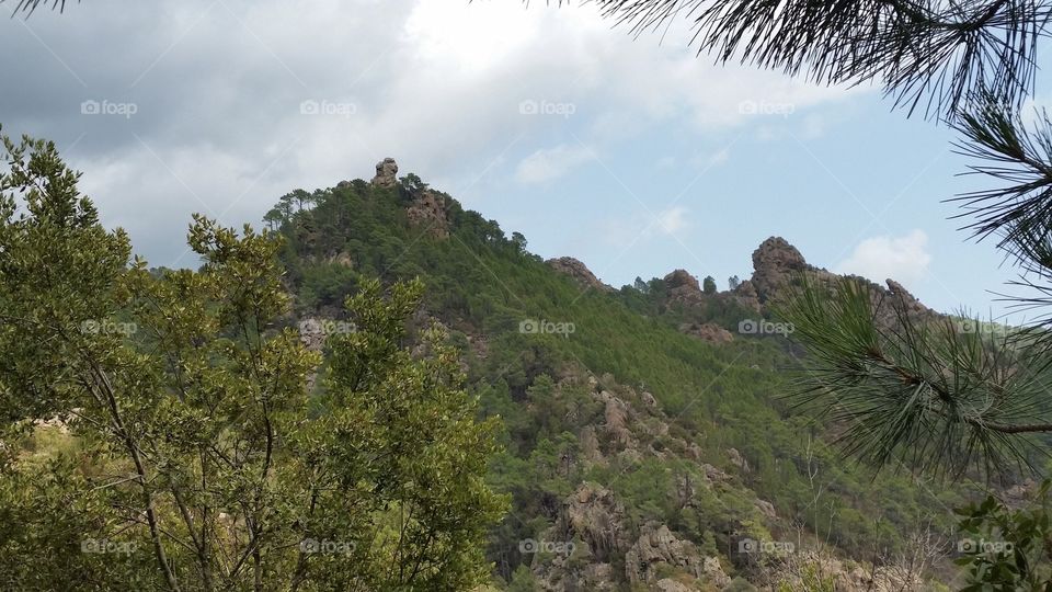 Parc naturel regional de Corse 
