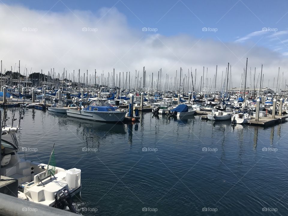 Harbor, Marina, Yacht, Pier, Sea