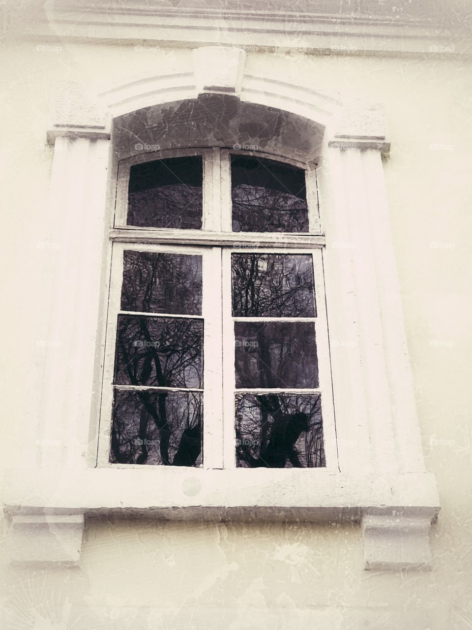 Window 