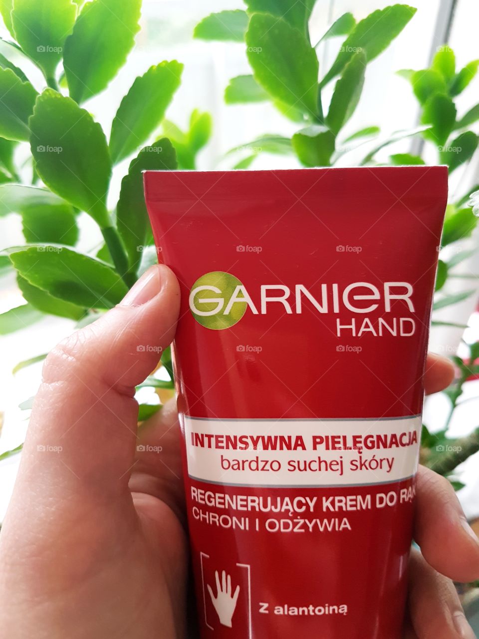 Garnier