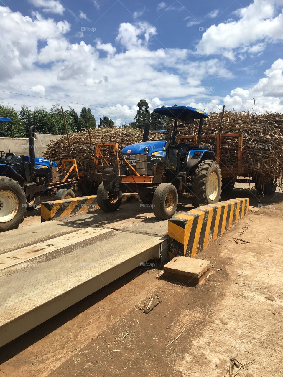 Sugarcane transportation 