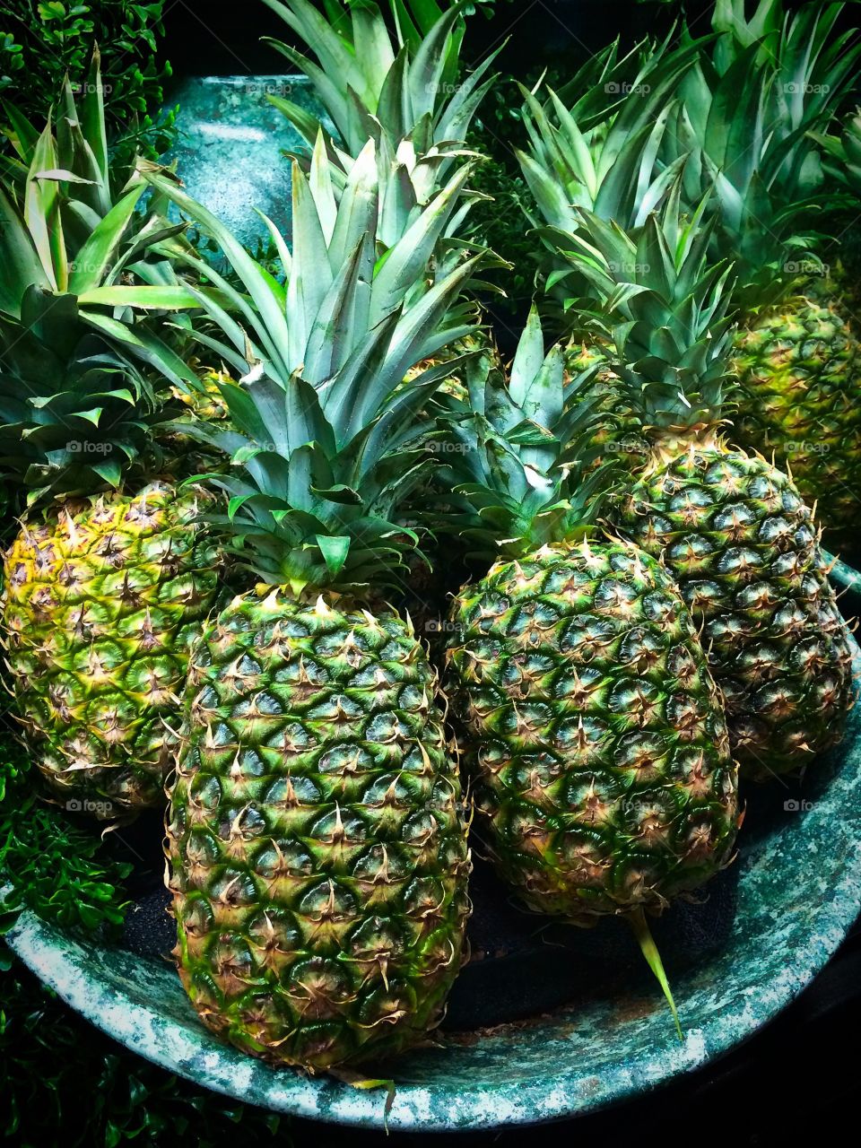 Pineapples