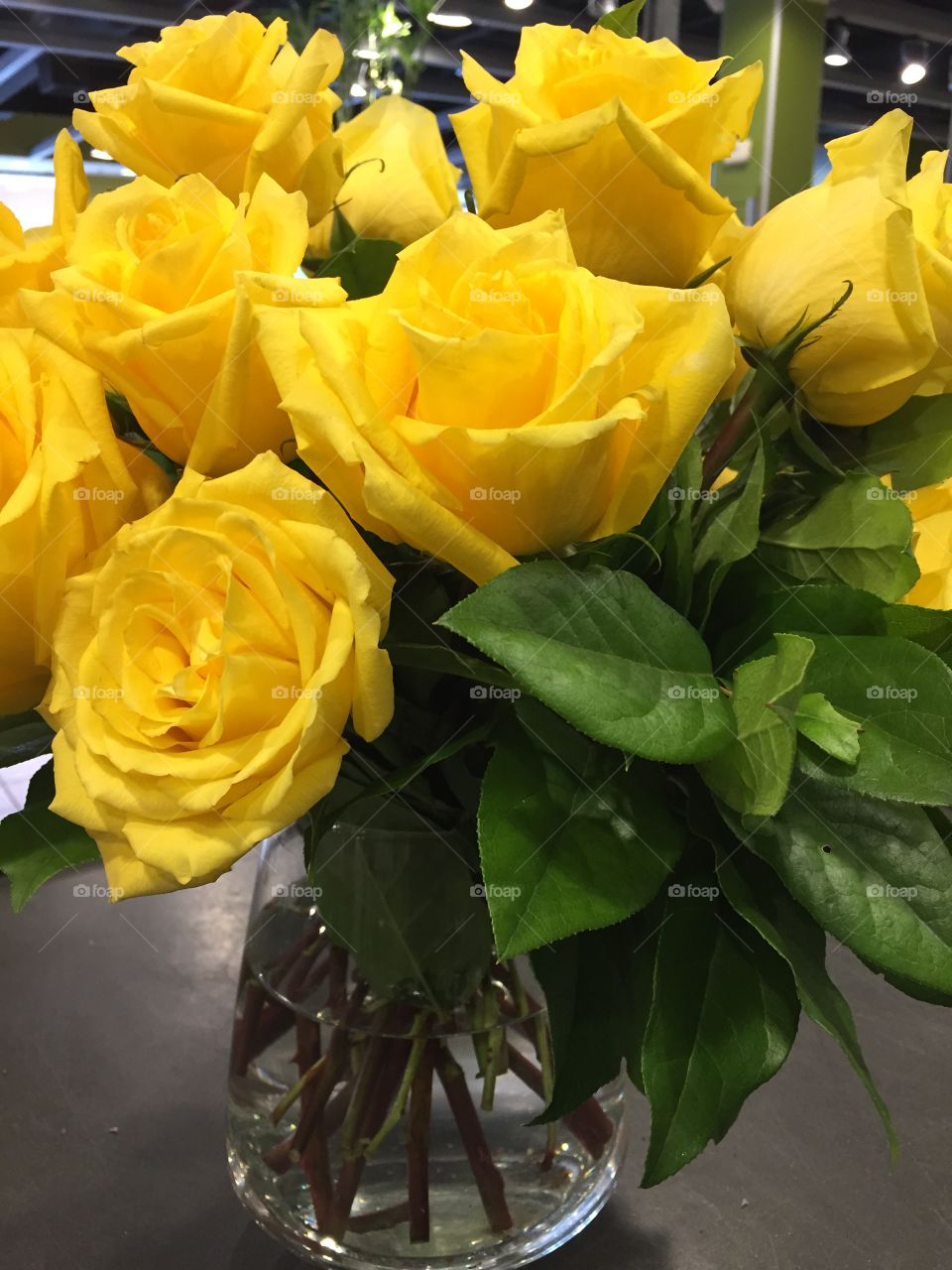 yellow roses 