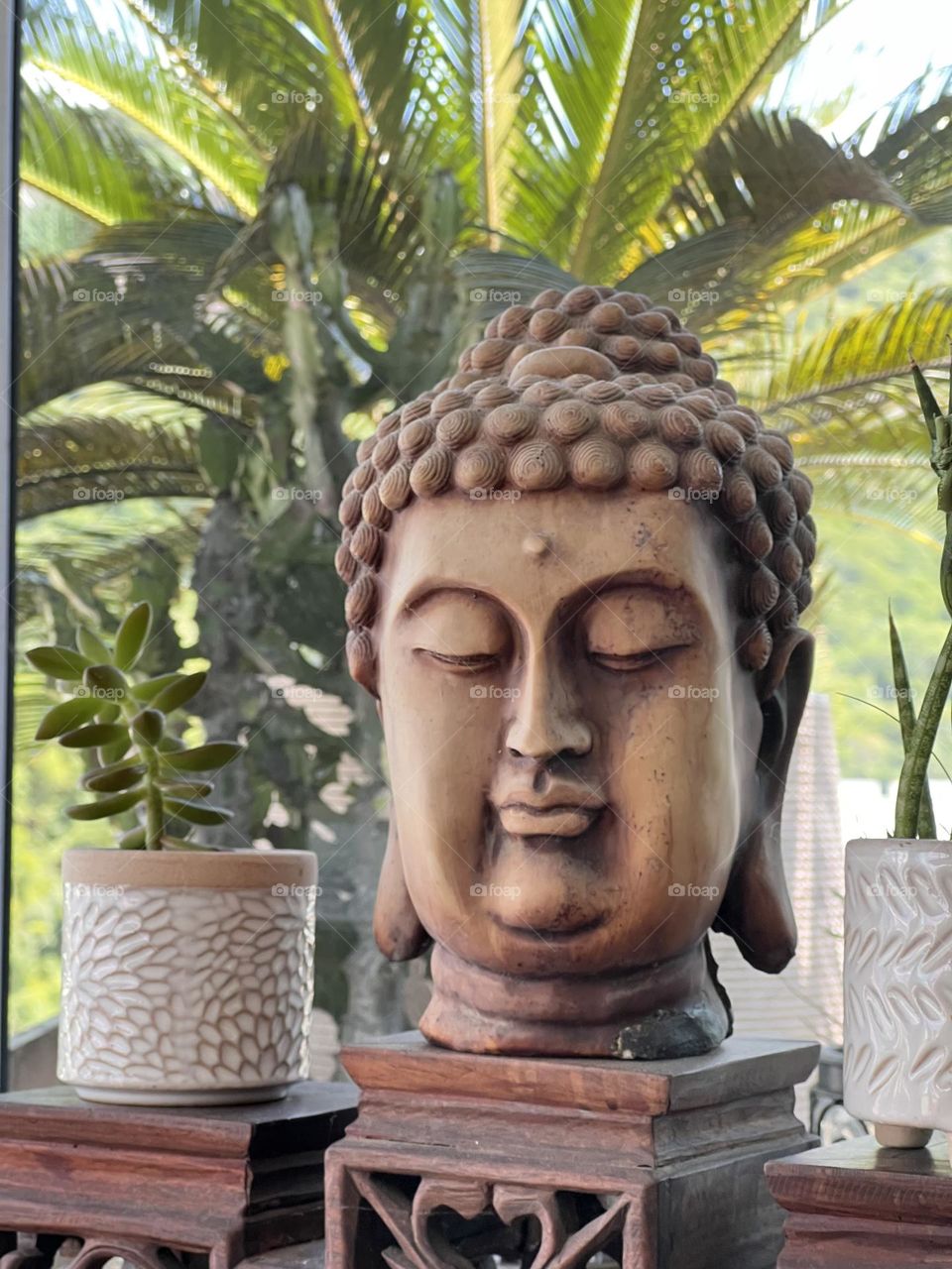 Buddha under palm