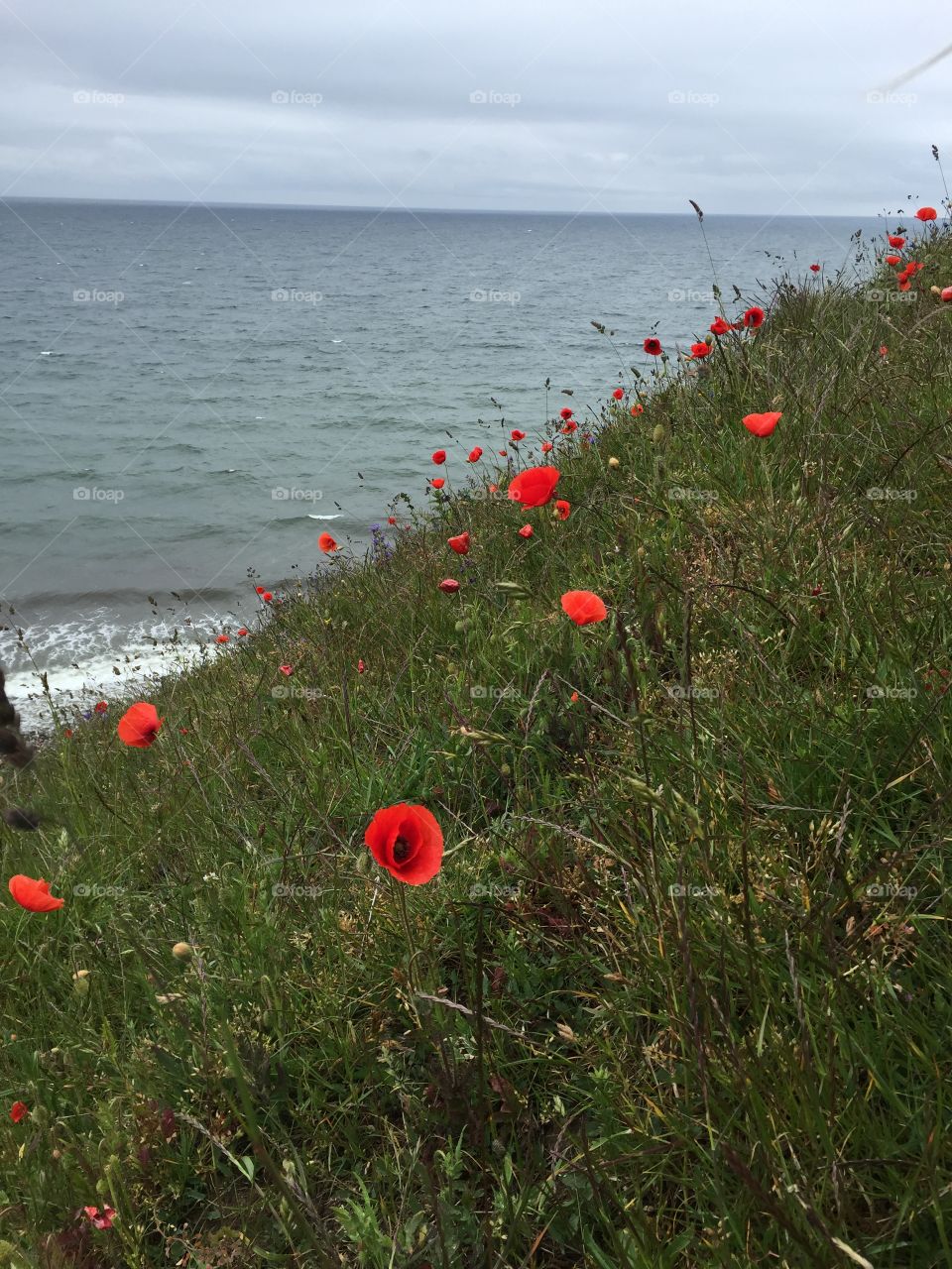 Österlen. Österlen