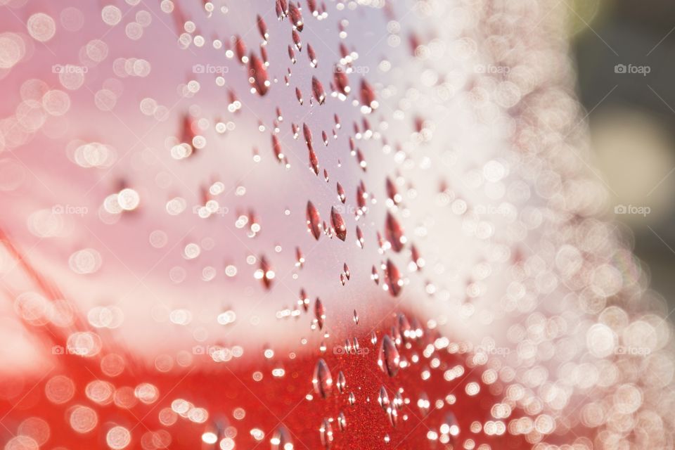 Drops of rain on a red car door