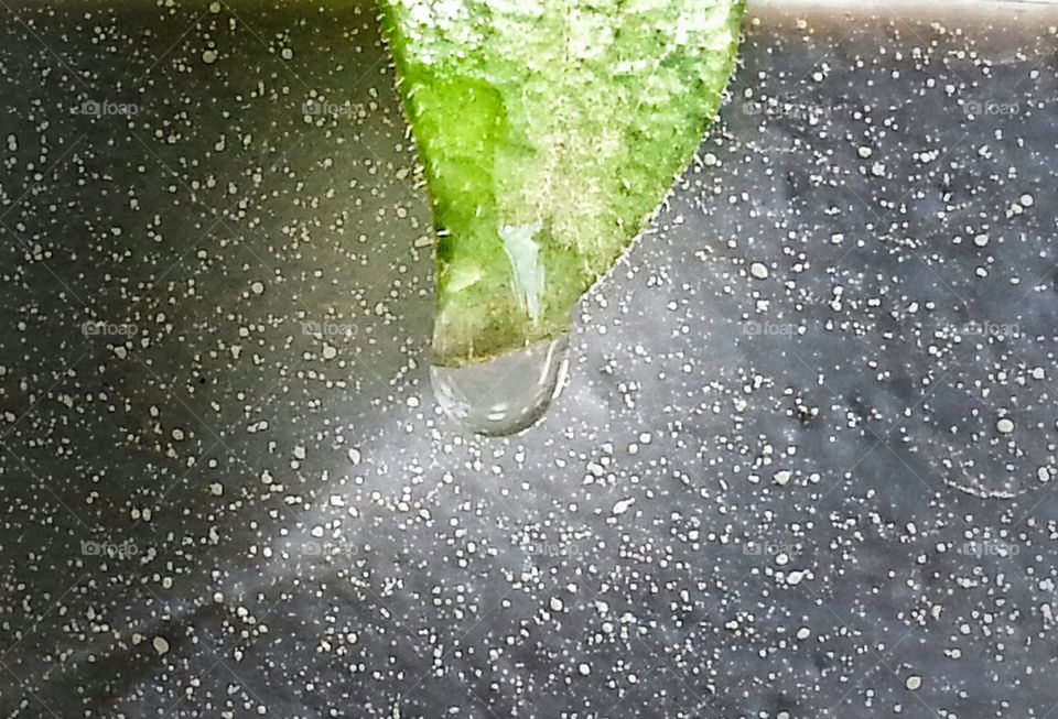 water drop