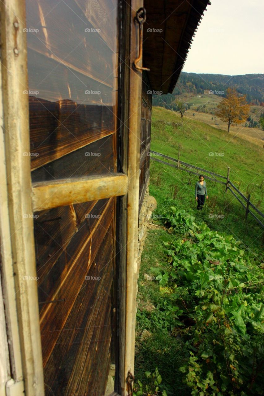 No Person, Wood, Landscape, Bridge, Travel