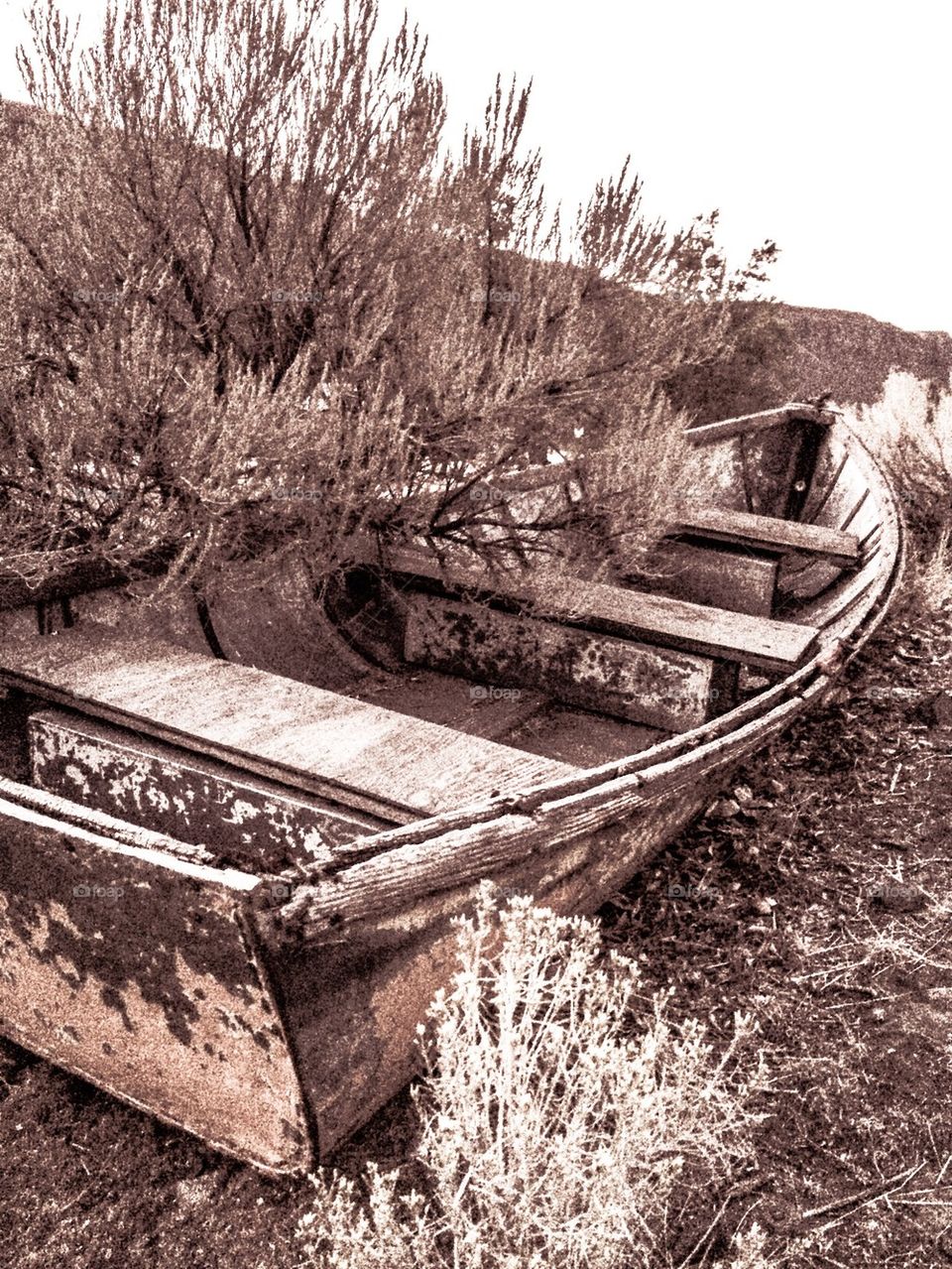 Rusty row boat