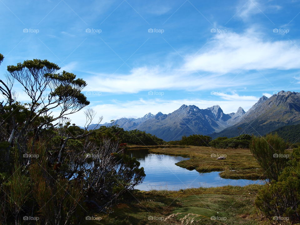 new Zealand mountains