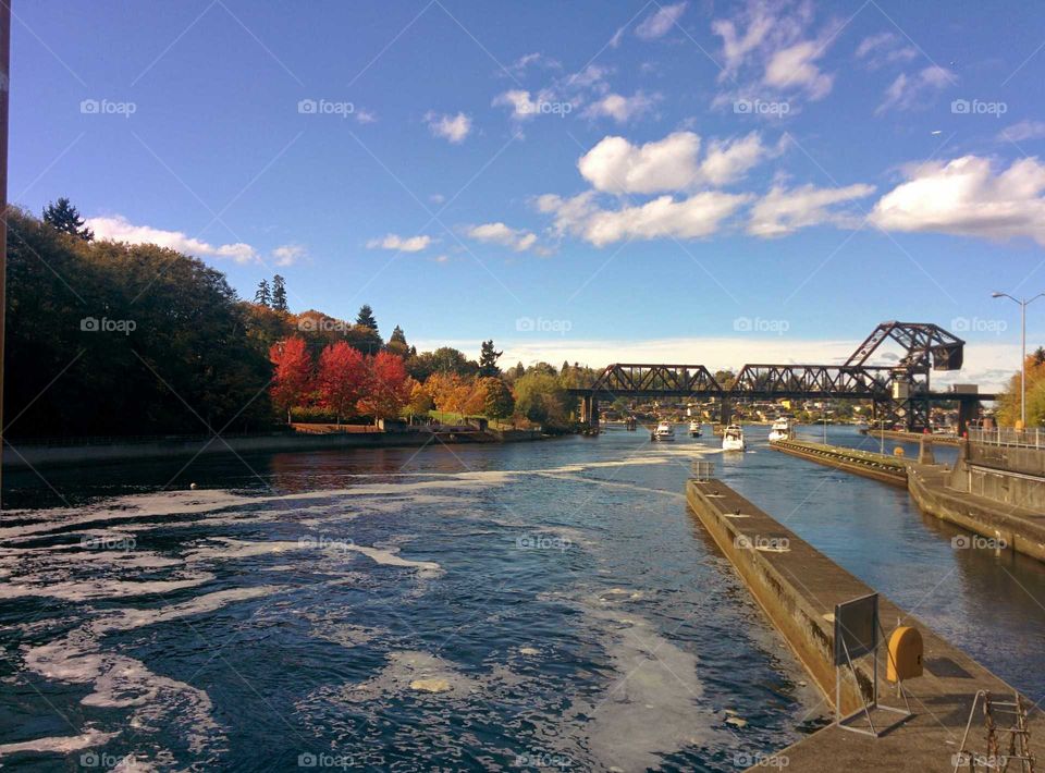 water, Ballard locks, lake Washington Seattle, Washington