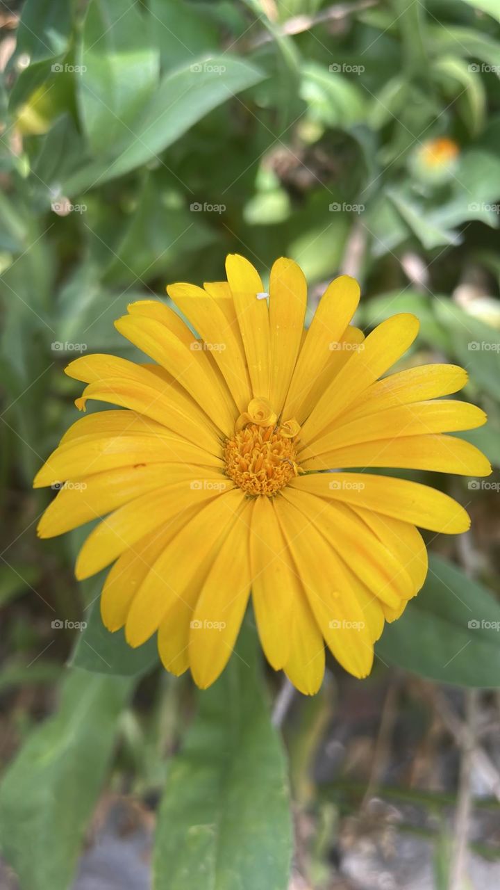 Yellow is so good sometimes 