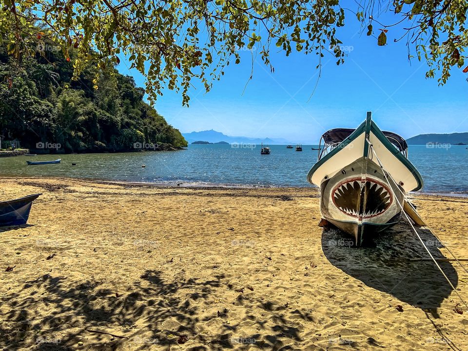 Shark painting on the boat . Still life 