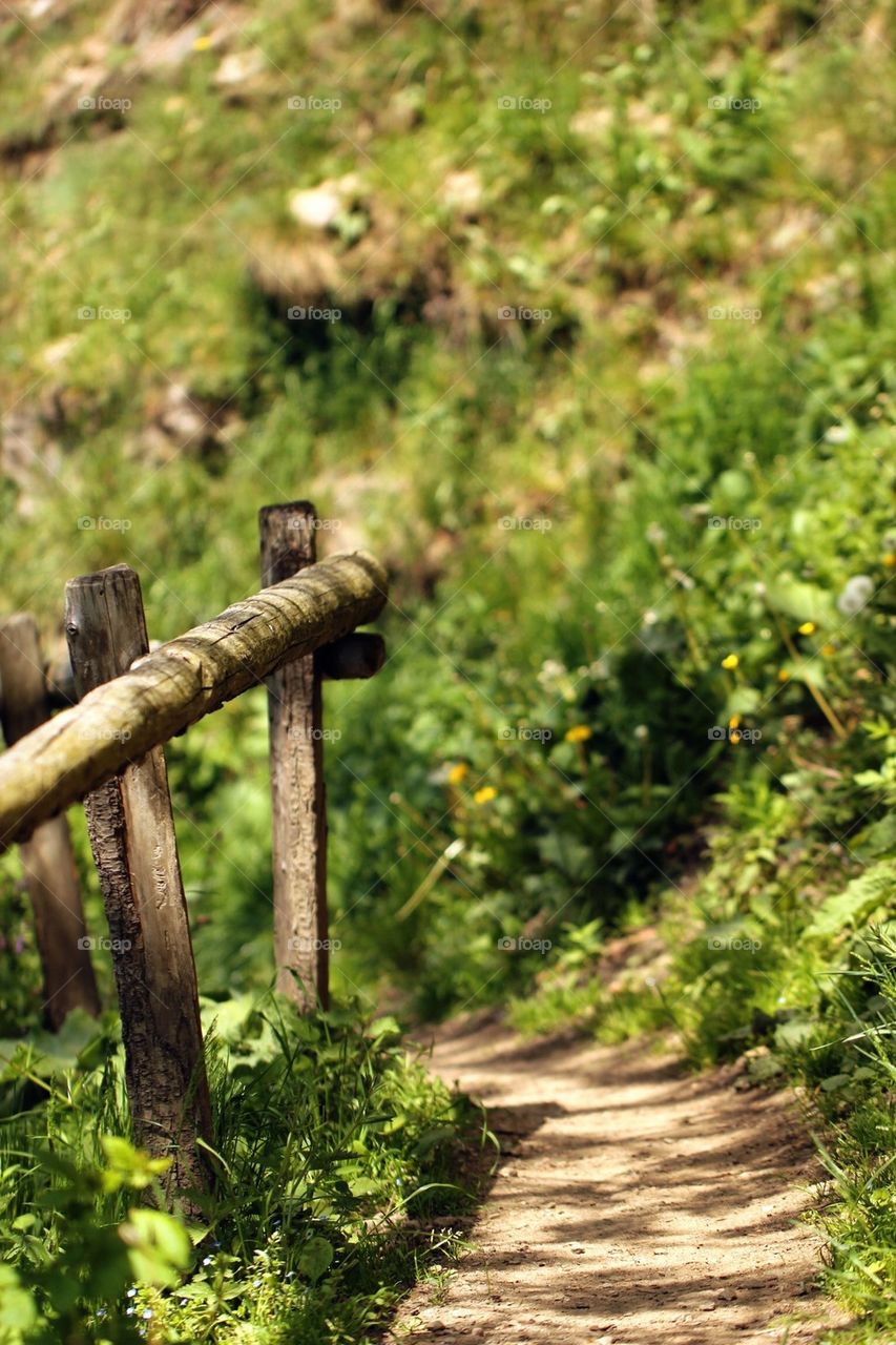 Footpath in the mountain