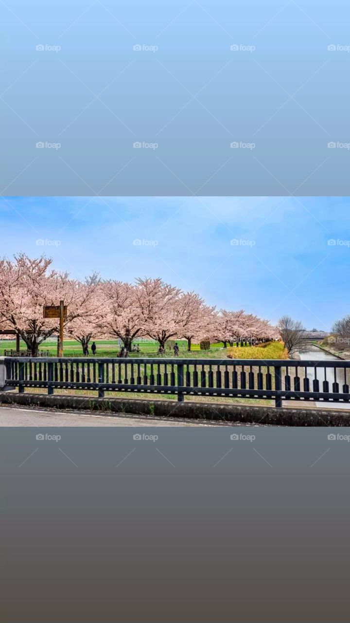 You see that? That's HEAVEN! You feel like living in heaven. I WANT TO FLY EVERYTIME I AM IN THIS PLACE. I HOPE YOU ARE TOO.