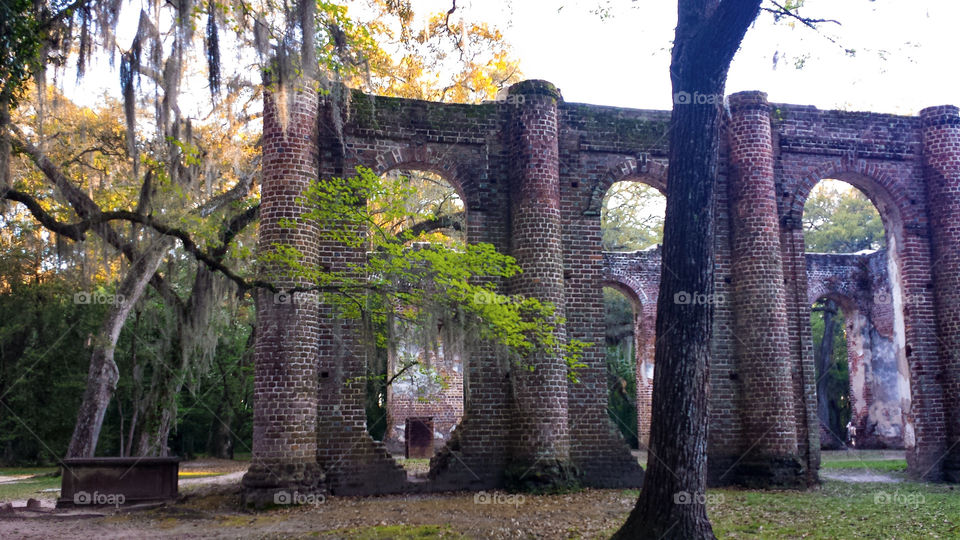 Old Sheldon Church ruins. A view of the old Sheldon Church ruins in Yemassee, South Carolina.