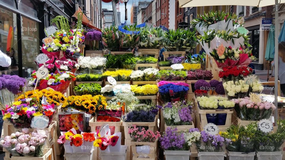 flowers in dublin