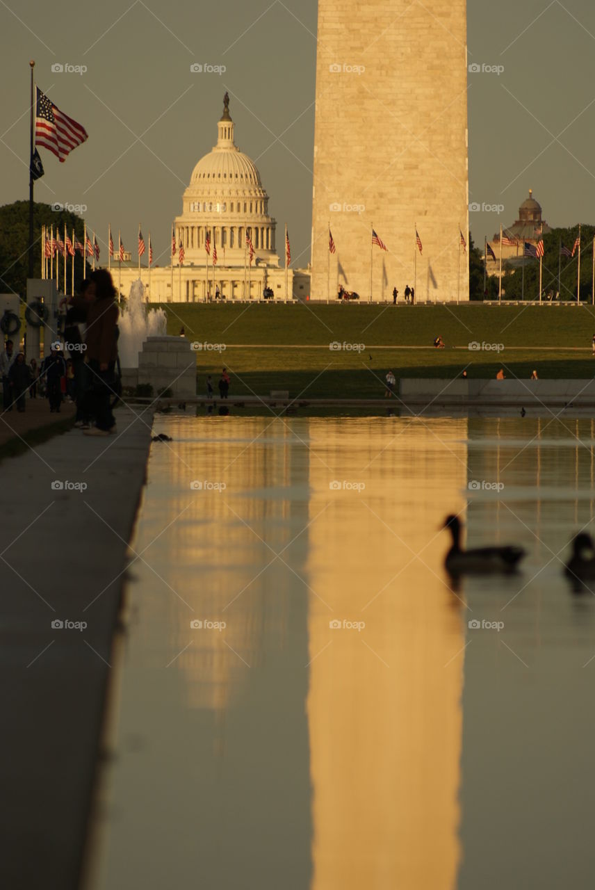 Capitol and Washington Monument reflection