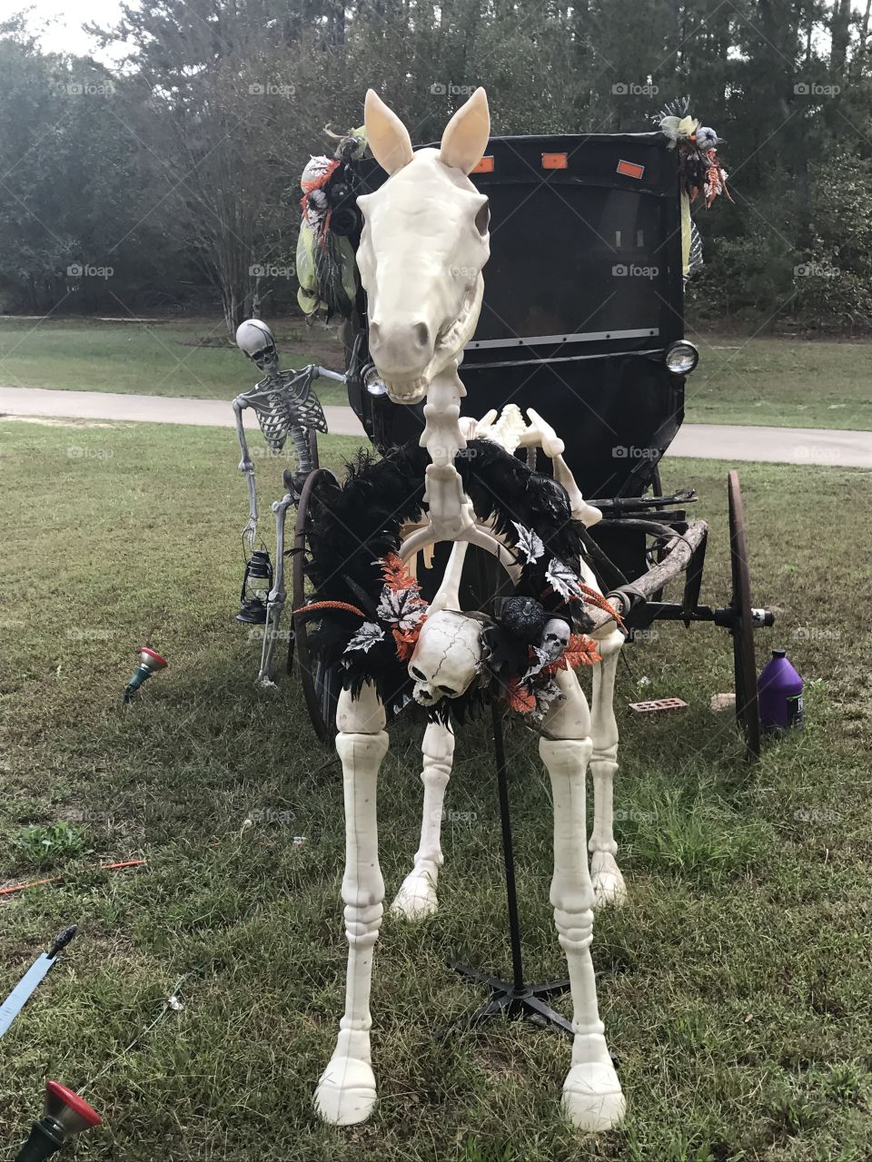 Skeleton Horse and Carriage 