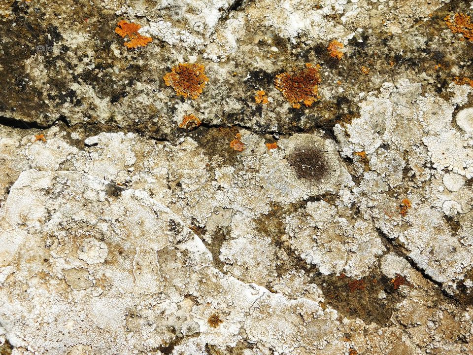 stone texture