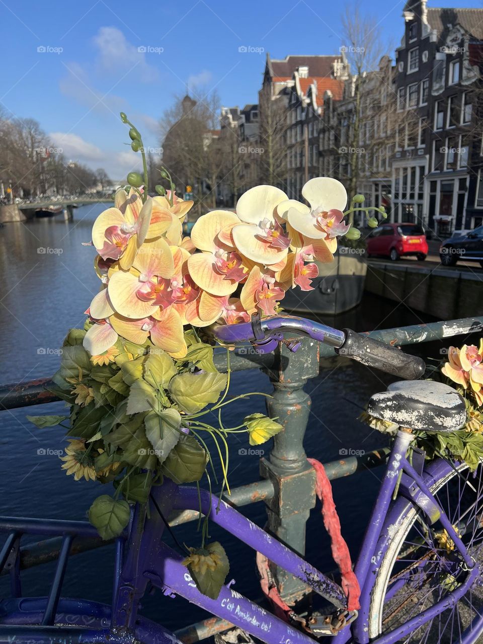 In the photo, a purple bicycle is decorated with orchid flowers 