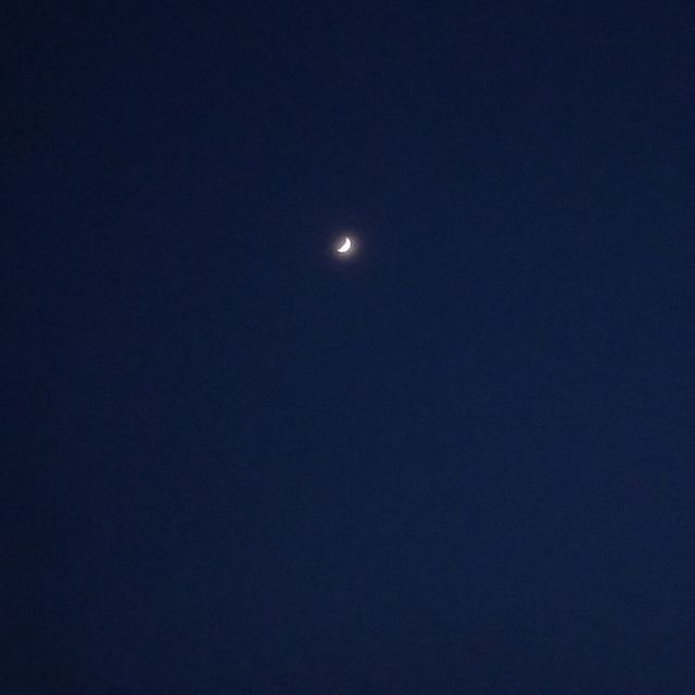 Moon 🌜