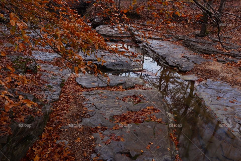 Reflections in late fall