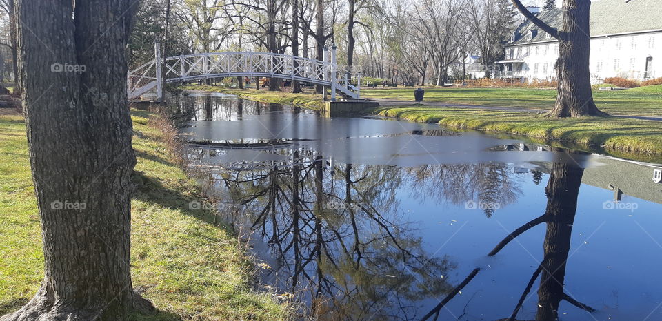 fall reflections