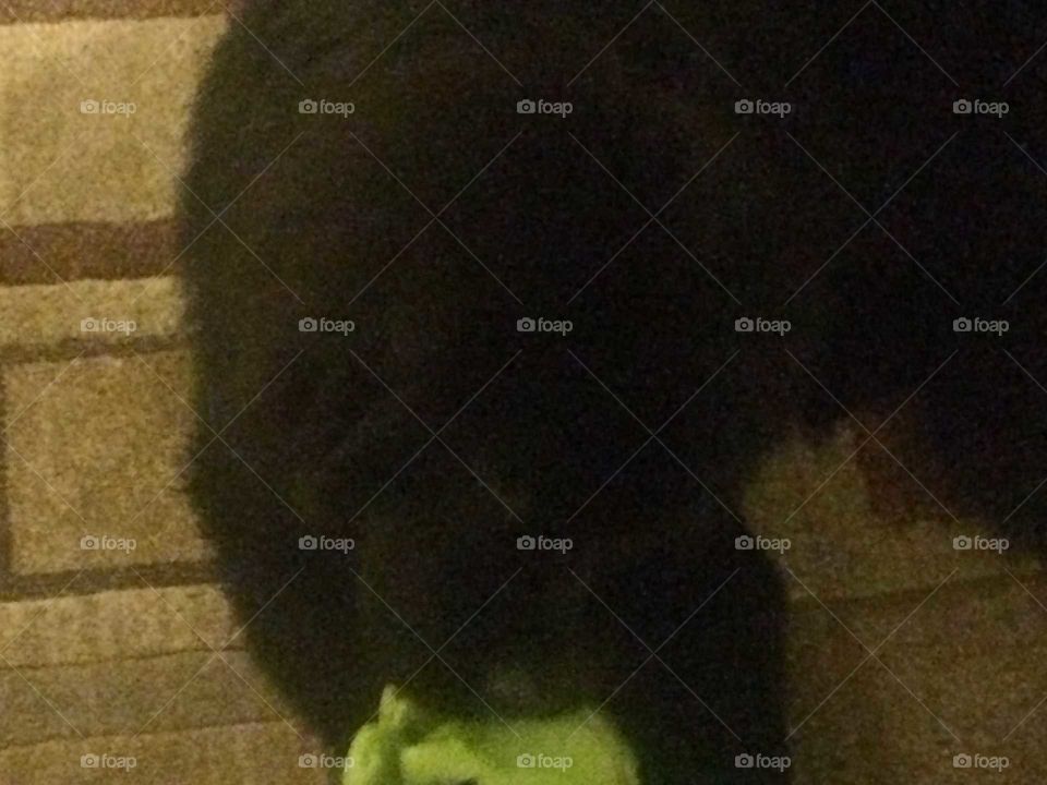 People, Abstract, Art, Wear, Portrait