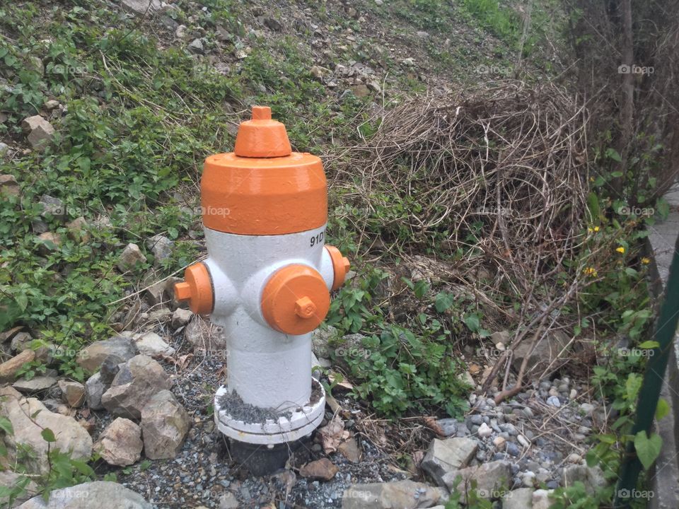 Orange and White Fire Hydrant 